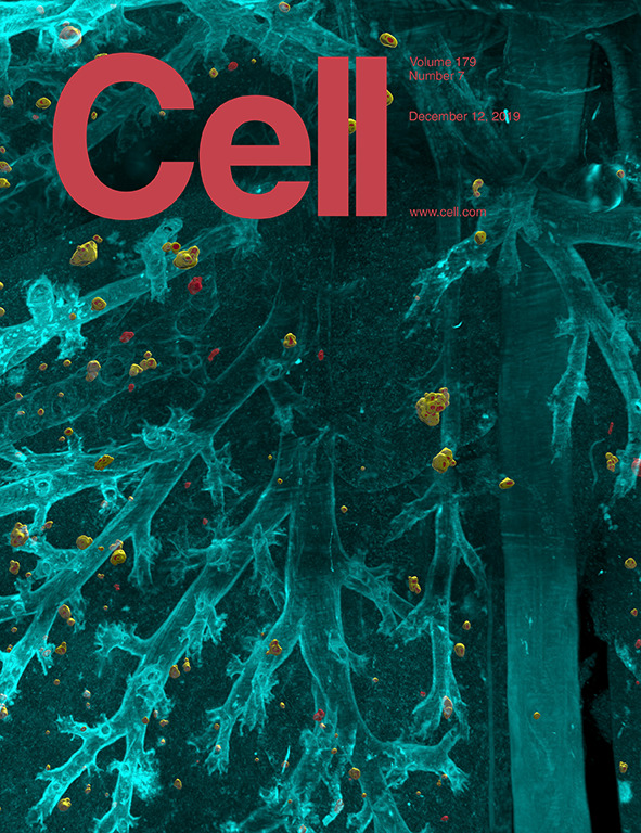 Cell Cover